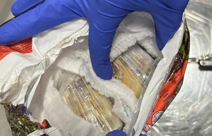 A Lithuanian was arrested in Norway, transporting more than one million kroner in diaper packages