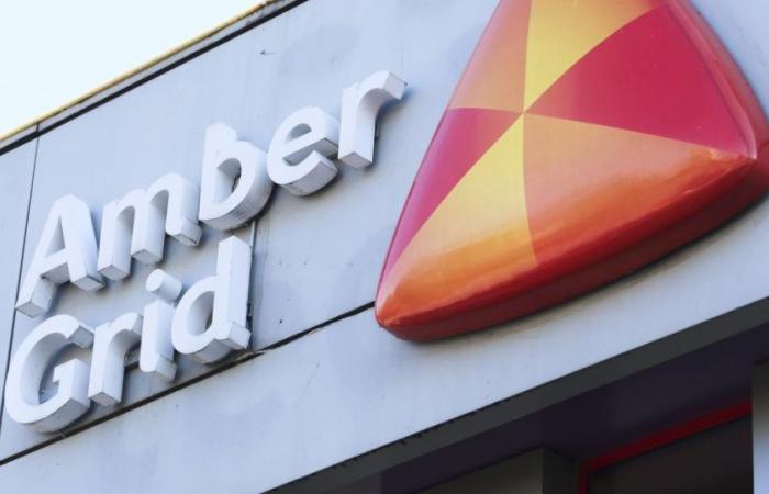 Three new members are proposed for the new term of the Amber Grid board | Business