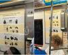 Posters on the subway about how to protect yourself in the event of a radiation accident do not prove that “the US is preparing for something”