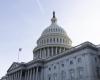 The US Senate passed a bill to ban TikTok