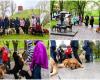Dog lovers in Vilnius celebrated the Dog’s Day: they celebrated it exceptionally
