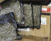 Customs officers dismantled a drug smuggling network – eight Vilnius residents were arrested, shipments of drugs were intercepted