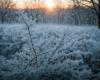 Forecasters: big frosts are still expected before the warming – MadeinVilnius.lt