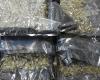 Tens of kilograms of cocaine and cannabis were transported from the USA to Vilnius – Respublika.lt