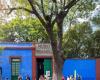 The home of the famous Frida Kahlo in Mexico: you can even see the bed where she died
