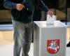 Lithuanians are confused: the question in the referendum ballot stunned – MadeinVilnius.lt