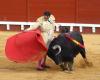 Spain to cancel national bullfighting bonus