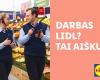Lidl Lietuva presents a new employer image campaign: focus on the team, career and salary