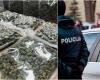 The man who organized the transportation of drugs from Spain ended up in the hands of law enforcement