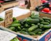 control of vegetables imported into Lithuania is being strengthened