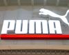 Puma’s profit fell by a quarter during the year