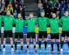 Decisive World Handball Championship qualifying match: Hungary – Lithuania (LIVE)